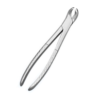 Growing Tooth Forceps (SS)